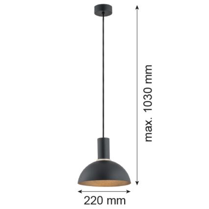 Argon 4222 - Hanglamp aan een koord SINES 1xE27/15W/230V d. 28 cm zwart