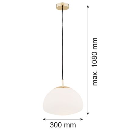 Argon 4316 - Hanglamp aan koord TRINI 1xE27/15W/230V messing