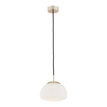 Argon 4352 - Hanglamp aan een koord TRINI 1xE27/15W/230V goud
