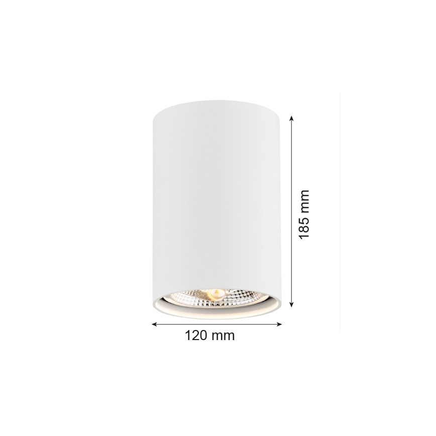 Argon 4910 - Spot TUBO AR111 1xGU10/15W/230V wit