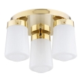 Argon 6165 - Hanglamp voor Oppervlak Montage PASADENA 3xE27/15W/230V goud/wit