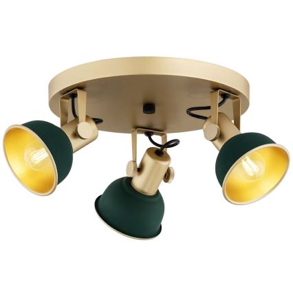 Argon 6242 - Spot LENORA 3xE14/7W/230V goud/groen