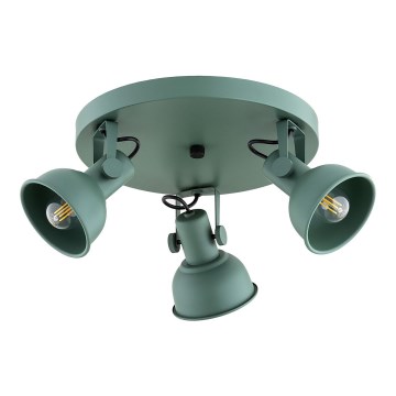 Argon 6265 - Spot LENORA 3xE14/7W/230V groen