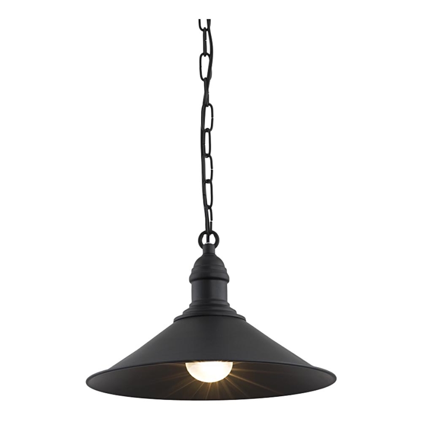 Argon 631 - Hanglamp aan ketting ERBA 1xE27/60W/230V