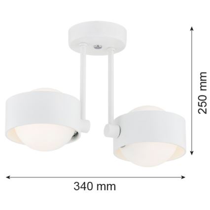 Argon 7088 - Hanglamp aan een paal MASSIMO PLUS 2xG9/6W/230V wit