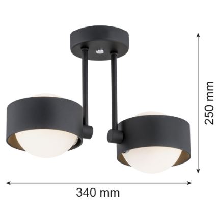 Argon 7089 - Hanglamp aan een paal MASSIMO PLUS 2xG9/6W/230V zwart