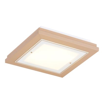Argon 7267 - Plafondlamp TABOR 2xE27/15W/230V 32x32 cm beige