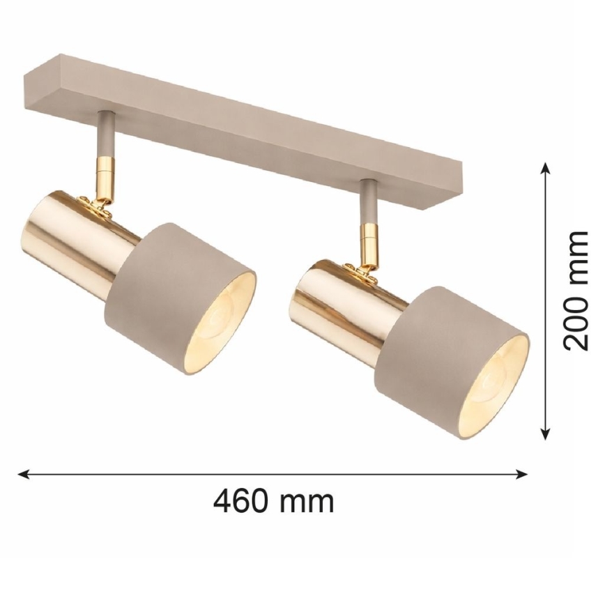 Argon 7299 - Spotlamp DOR 2xE27/15W/230V goud/beige