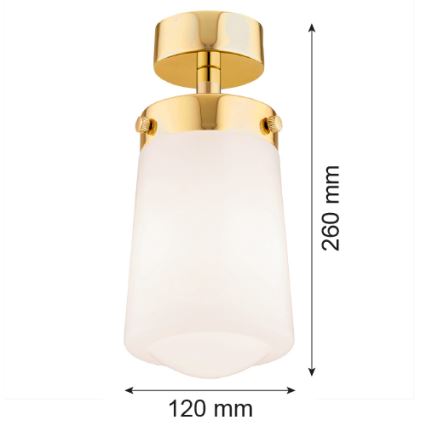 Argon 8005 - Hanglamp voor Oppervlak Montage PASADENA 1xE27/15W/230V goud/wit