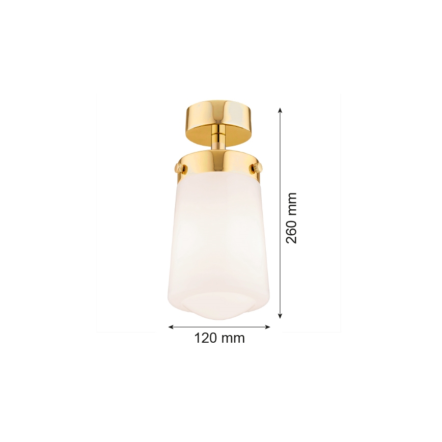 Argon 8005 - Hanglamp voor Oppervlak Montage PASADENA 1xE27/15W/230V goud/wit