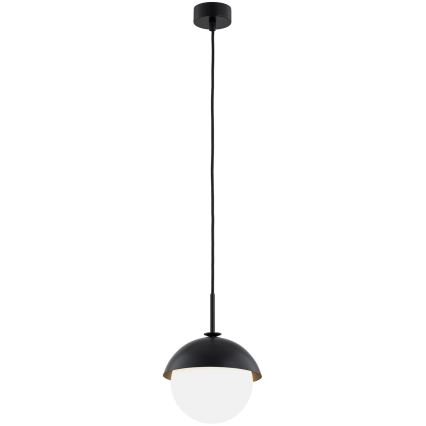 Argon 8295 - Hanglamp aan een koord CAPPELLO 1xE27/15W/230V zwart