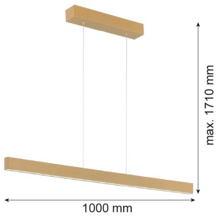 Argon 8306 - LED Hanglamp aan een koord BALANS LED/35W/230V 3000K goud