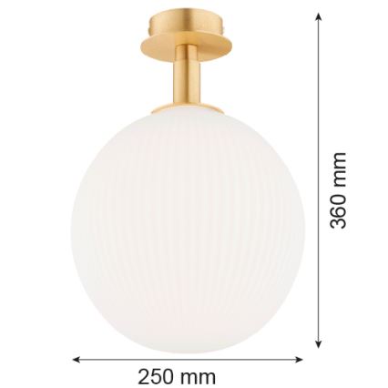 Argon 8505 - Plafondlamp PALOMA 1xE27/15W/230V goud/wit