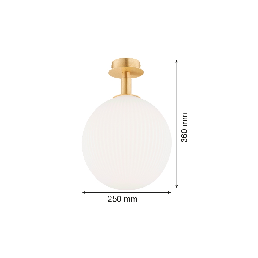 Argon 8505 - Plafondlamp PALOMA 1xE27/15W/230V goud/wit