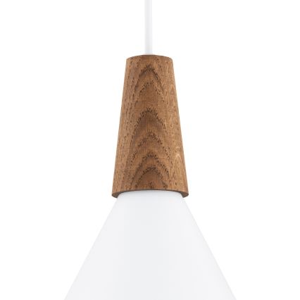 Argon 8630 - Hanglamp aan een koord KEGEL 1xE27/15W/230V wit