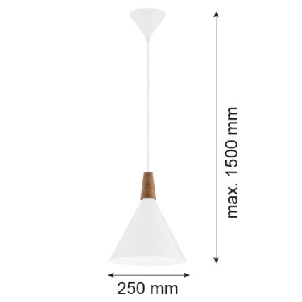 Argon 8630 - Hanglamp aan een koord KEGEL 1xE27/15W/230V wit