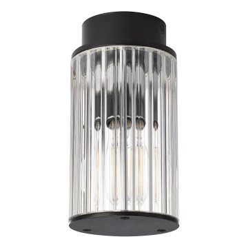 Argon 8773 - Plafondlamp voor buiten NORFOLK 1xE27/15W/230V IP44 zwart