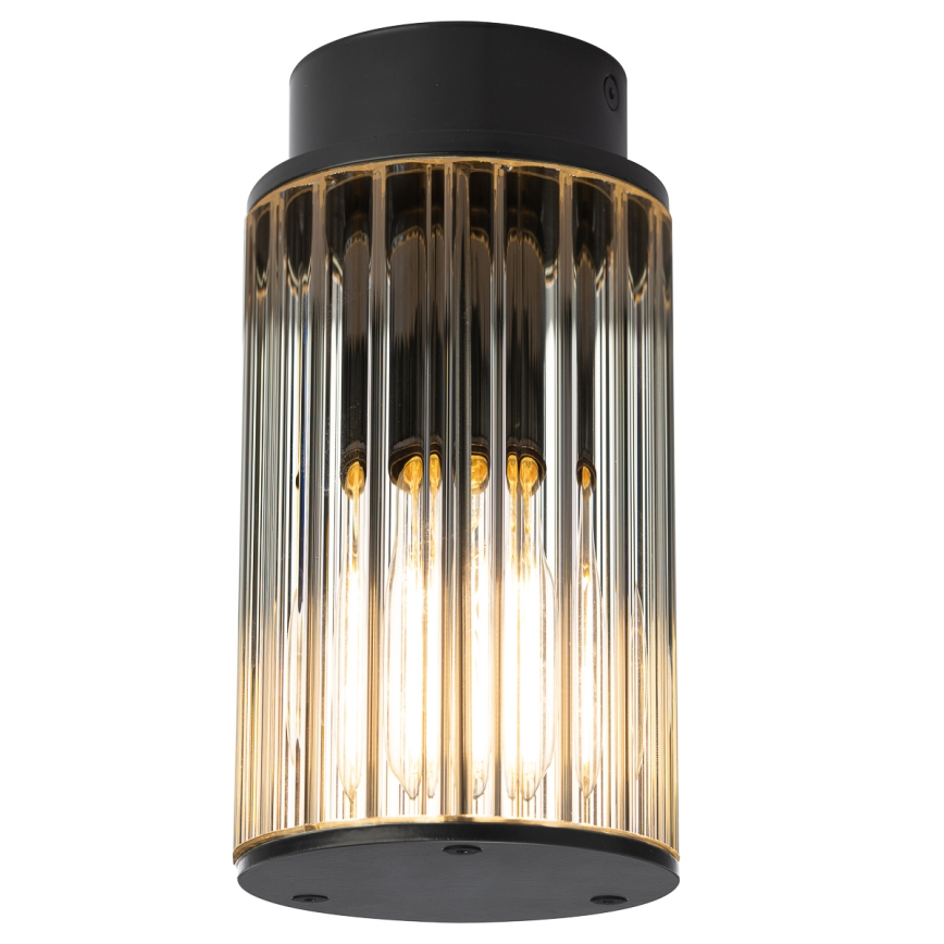Argon 8773 - Plafondlamp voor buiten NORFOLK 1xE27/15W/230V IP44 zwart
