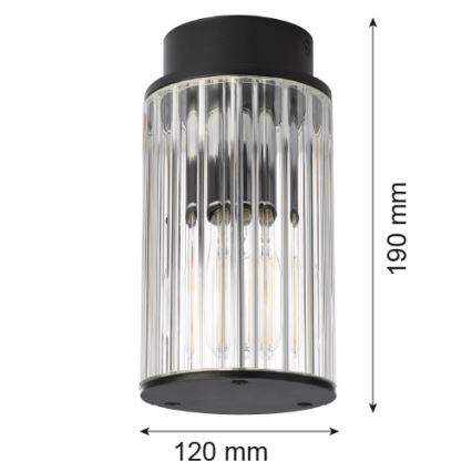 Argon 8773 - Plafondlamp voor buiten NORFOLK 1xE27/15W/230V IP44 zwart