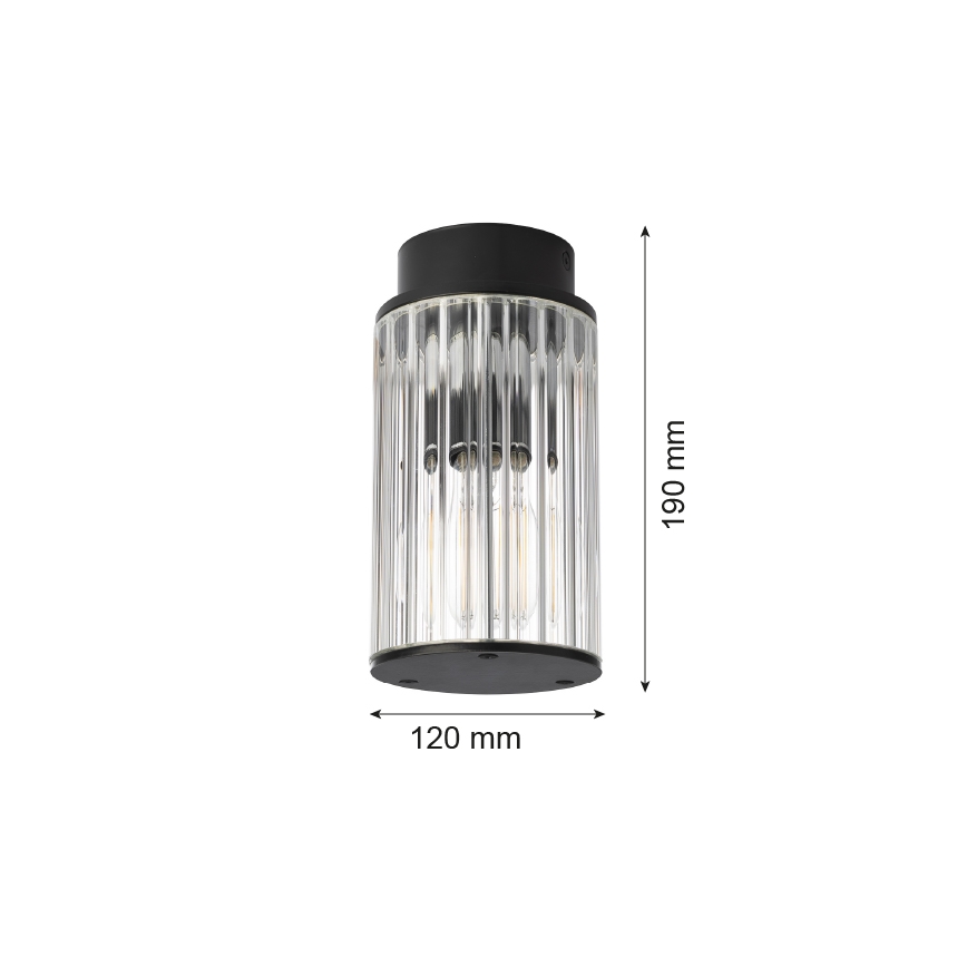 Argon 8773 - Plafondlamp voor buiten NORFOLK 1xE27/15W/230V IP44 zwart