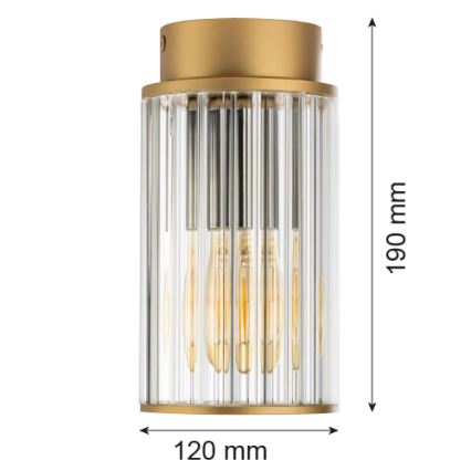 Argon 8774 - Plafondlamp voor buiten NORFOLK 1xE27/15W/230V IP44 goud
