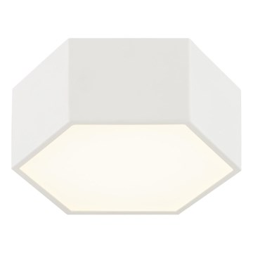 Argon 8781 - LED Plafondlamp LIBERO LED/12W/230V 3000K wit
