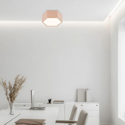 Argon 8782 - LED Plafondlamp LIBERO LED/12W/230V 3000K crème