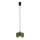 Argon 8815 - Hanglamp aan een koord TEVO 1xG9/4,5W/230V groen