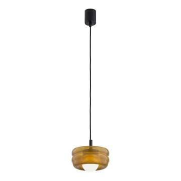 Argon 8816 - Hanglamp aan een koord TEVO 1xG9/4,5W/230V bruin/gerookt