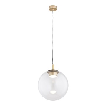 Argon 8828 - Hanglamp aan een koord SACRAMENTO 1xGX53/8W/230V doorzichtig/goud