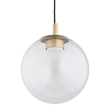 Argon 8828 - Hanglamp aan een koord SACRAMENTO 1xGX53/8W/230V doorzichtig/goud