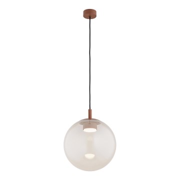 Argon 8829 - Hanglamp aan een koord SACRAMENTO 1xGX53/8W/230V doorzichtig/bruin