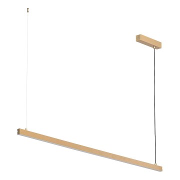 Argon 8836 - LED Hanglamp aan een koord MIAMI LED/37W/230V 3000K goud