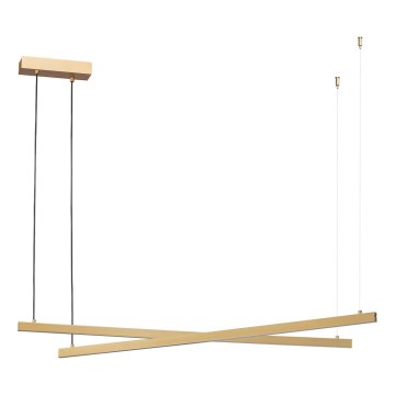 Argon 8839 - LED Hanglamp aan een koord MIAMI LED/74W/230V 3000K goud
