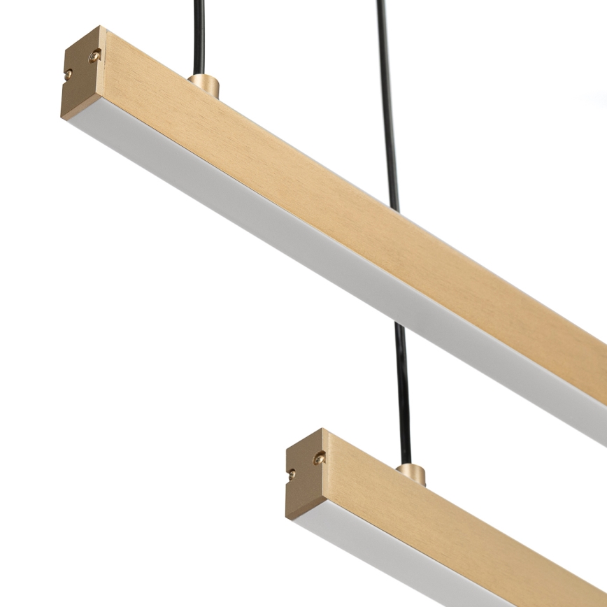 Argon 8839 - LED Hanglamp aan een koord MIAMI LED/74W/230V 3000K goud