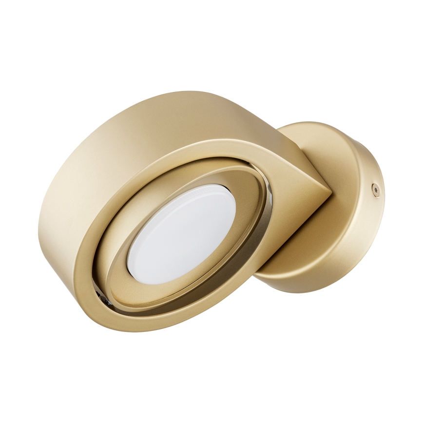 Argon 8899 - Wandlamp LOTUS 1xGX53/12W/230V goudkleurig