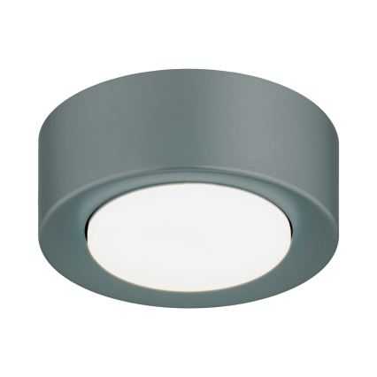 Argon 8917 - Plafondlamp ELORA 1xGX53/7W/230V Ø 11 cm grijs