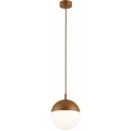 Argon 8998 - Buitenhanglamp met kabel LIV 1xE27/15W/230V IP44 bruin