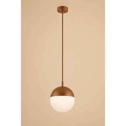 Argon 8998 - Buitenhanglamp met kabel LIV 1xE27/15W/230V IP44 bruin