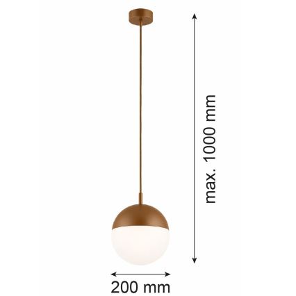 Argon 8998 - Buitenhanglamp met kabel LIV 1xE27/15W/230V IP44 bruin