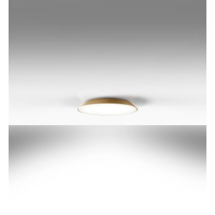 Artemide AR 0241320A - LED Plafondverlichting FEBE 4xLED/30W/230V