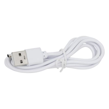 Atmosphera - LED RGBW Oplaadbaar buitenshuis tafellamp ZACK LED/3,7V 1200 mAh IP44 turquoise