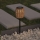 Atmosphera - LED Solar lamp ELAIS LED/1,2V IP44