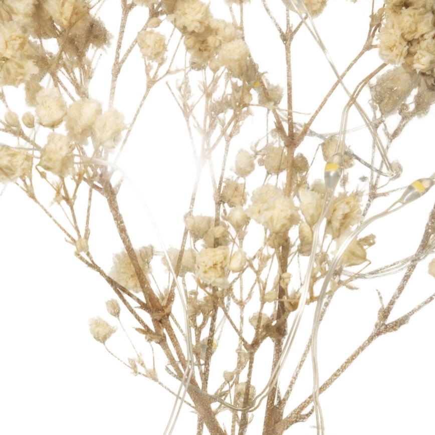 Atmosphera - LED tafellamp MICRO LED/2xAAA antraciet