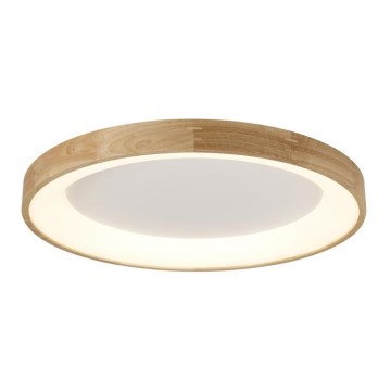 Azzardo AZ2698 - LED plafondlamp SILVAM LED/50W/230V