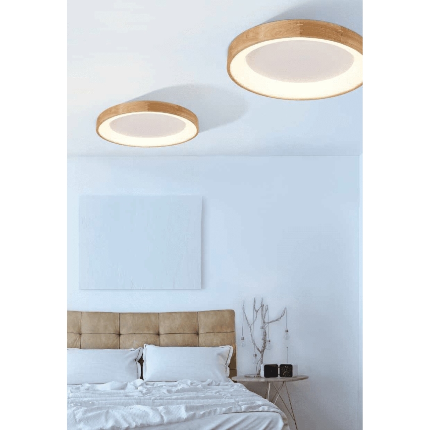 Azzardo AZ2698 - LED Plafondverlichting SILVAM 1xLED/50W/230V
