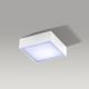 Azzardo AZ2781 - LED Plafondverlichting FALCO LED/12W/230V
