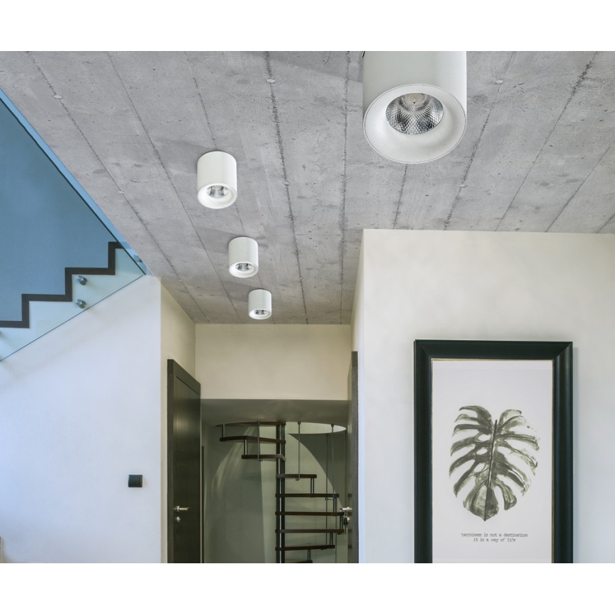 Azzardo AZ2845 - LED plafondlamp MANE LED/10W/230V