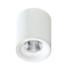 Azzardo AZ2845 - LED Plafondverlichting MANE 1xLED/10W/230V