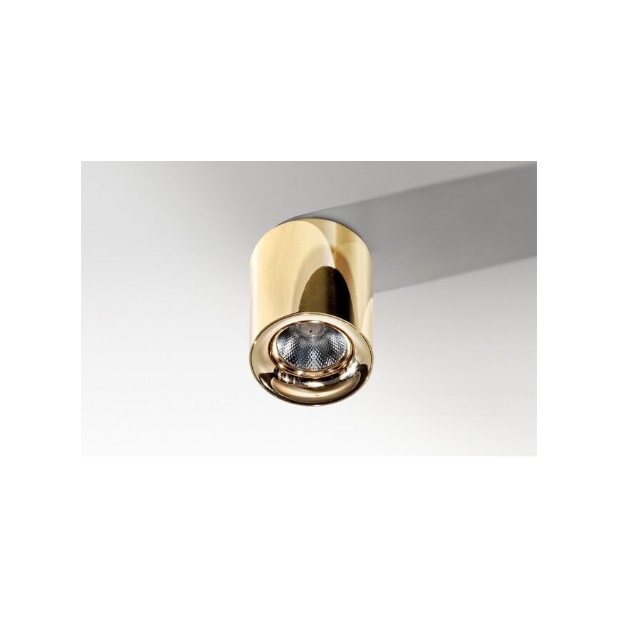 Azzardo AZ2846 - LED-plafondlamp MANE LED/10W/230V